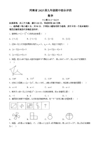 河南省信阳市2024-2025学年人教版九年级上学期数学期中测试卷