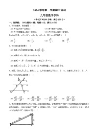 上海市闵行区浦江第一中学2024-—2025学年九年级上学期数学期中考试试卷(无答案)