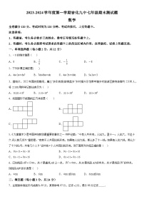 吉林省吉林市龙潭区吉化第九中学校2023-2024学年七年级上学期期末数学试题(含解析)