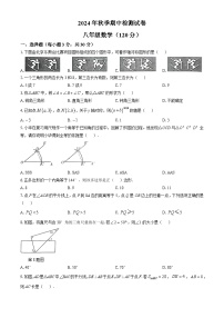 甘肃省定西市岷县2024-2025学年八年级上学期期中检测数学试卷(无答案)