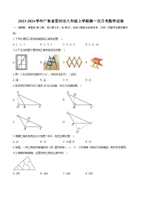 +广东省湛江市雷州市2023-2024学年八年级上学期第一次月考数学试卷+