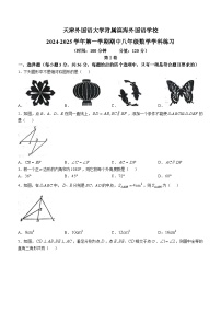 天津市外国语大学附属滨海外国语学校2024-2025学年八年级上学期期中考试数学试卷(无答案)