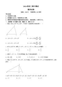 上海市实验学校南校区2024-2025学年上学期九年级期中测试数学试卷(无答案)