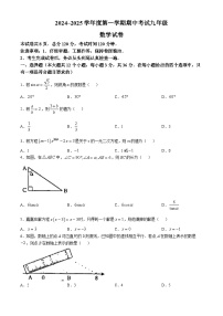 河北省唐山市滦州市2024-2025学年九年级上学期11月期中考试数学试题(无答案)