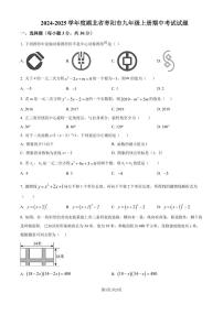 湖北省枣阳市2024-2025学年 九年级上学期数学期中考试试题（原卷版+解析版）