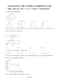 广东深圳2024-2025学年上学期九年级数学期中复习试卷（原卷版+解析版）