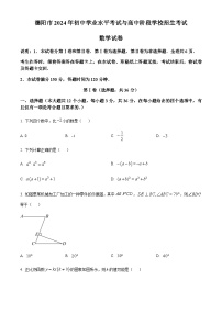 2024年四川省德阳市中考数学试题含答案