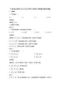 广东省汕尾市2023-2024学年八年级下学期期末数学试卷(解析版)