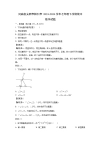 河南省安阳市林州市2023-2024学年七年级下学期期中数学试卷(解析版)