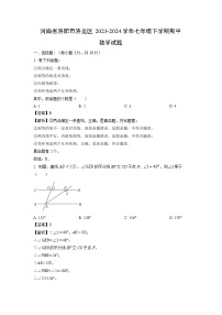 河南省洛阳市洛龙区2023-2024学年七年级下学期期中数学试卷(解析版)