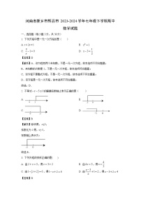 河南省新乡市辉县市2023-2024学年七年级下学期期中数学试卷(解析版)