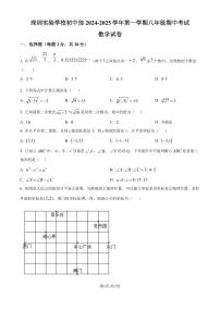 深圳实验学校初中部2024年上学期八年级期中考试数学试卷+答案