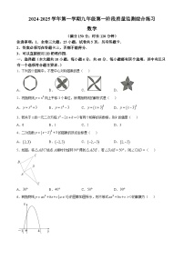 福建省厦门市同安区2024—2025学年九年级上学期11月期中数学试题(无答案)