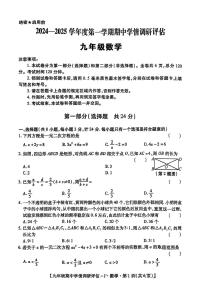 陕西省商洛市多校2024-2025年九年级上学期期中考试数学试题