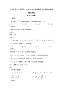 山东省泰安市宁阳县2023-2024学年八年级下学期期中考试数学试卷(解析版)