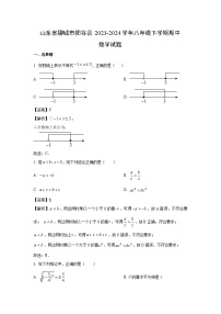 山东省聊城市阳谷县2023-2024学年八年级下学期期中数学试卷(解析版)