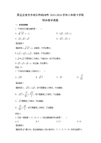 黑龙江省齐齐哈尔市讷河市2023-2024学年八年级下学期期末数学试卷(解析版)