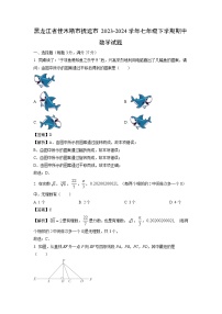 黑龙江省佳木斯市抚远市2023-2024学年七年级下学期期中数学试卷(解析版)