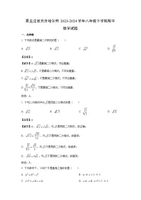 黑龙江省齐齐哈尔市2023-2024学年八年级下学期期中数学试卷(解析版)