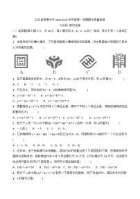 贵州省黔东南州从江县宰便中学2024-2025学年 九年级上学期期中质量监测数学试卷