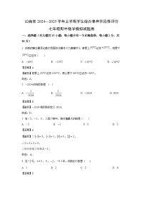 云南省2024—2025学年上学期学生综合素养阶段性评价七年级期中模拟卷数学试卷(解析版)