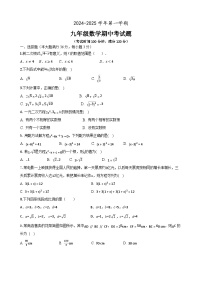 海南省海口某校2024-2025学年九年级上学期期中考试数学试题