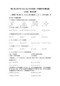 贵州省黔东南州榕江县乐里中学2024-2025学年 九年级上学期期中质量监测数学试卷