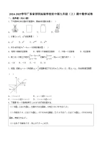 广东省深圳实验学校初中部2024—-2025学年上学期九年级期中数学试卷(无答案)