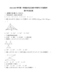 甘肃省武威市凉州区长城中学教研组2024-2025学年八年级上学期11月期中数学试题