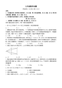 山东省青岛市2024-2025学年九年级上学期11月期中考试数学试题(无答案)