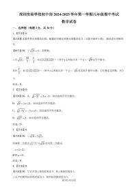 深圳实验学校初中部2024-2025学年上学期八年级期中考试数学试卷（解析版）