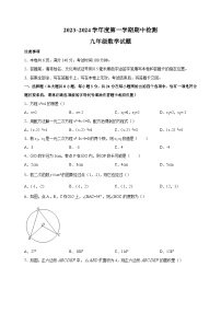 江苏省徐州市邳州市2023-2024学年九年级上学期期中抽测数学试卷（含答案解析）