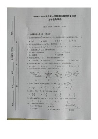 广西北海市合浦县2024-2025学年九年级上学期11月期中数学试题