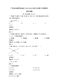 广东省河源市东源县2023-2024学年七年级下学期期中数学试卷(解析版)