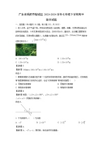 广东省揭阳市榕城区2023-2024学年七年级下学期期中数学试卷(解析版)