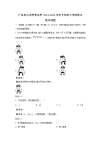 广东省云浮市罗定市2023-2024学年七年级下学期期中数学试卷(解析版)
