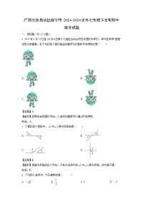 广西壮族自治区南宁市2023-2024学年七年级下学期期中数学试卷(解析版)