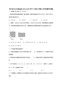 四川省内江市威远县2024-2025学年九年级上册入学考试数学试题（附答案）