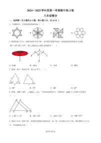 江苏南京市江宁区2024-2025学年上学期八年级期中学情分析练习卷（原卷版+解析版）