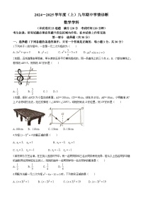 辽宁省沈阳市大东区2024-2025学年九年级上学期期中学情诊断数学试题(无答案)