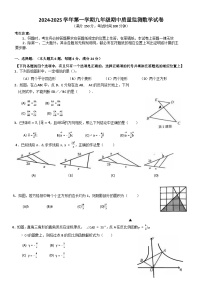 上海市嘉定区部分学校2024-2025学年九年级上学期11月期中联考数学试题