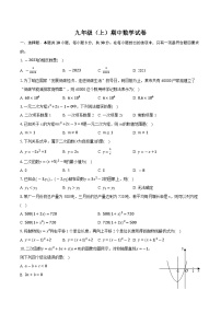 广东省中山市华强学校2024—2025学年上学期九年级期中数学试卷