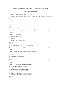 内蒙古自治区赤峰市松山区2023-2024学年七年级下学期期中数学试卷(解析版)