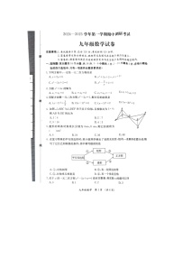 河北省保定市清苑区2024-2025学年九年级上学期11月期中考试数学试题