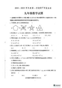 河北省保定市定州市2024-2025学年九年级上学期期中考试数学试卷