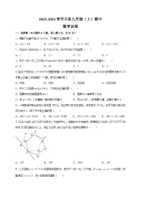 江苏省徐州市丰县2023-2024学年九年级上学期期中数学试卷（含答案解析）