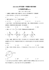 江苏省徐州市睢宁县2023-2024学年九年级上学期期中数学试卷（含答案解析）