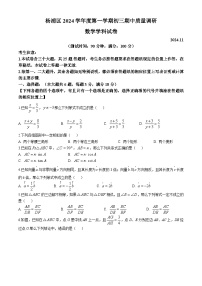 上海市杨浦区2024-2025学年九年级上学期期中考试数学试题(无答案)