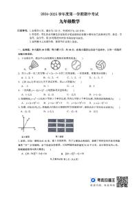 广东省韶关市翁源县2024-2025学年九年级上学期11月期中考试数学试题