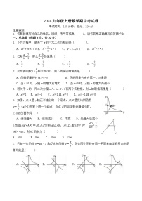 湖南省怀化市溆浦县圣达学校2024-2025学年九年级上学期期中考试数学试题